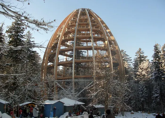 Апартаменты Stoahauerhof Grainet